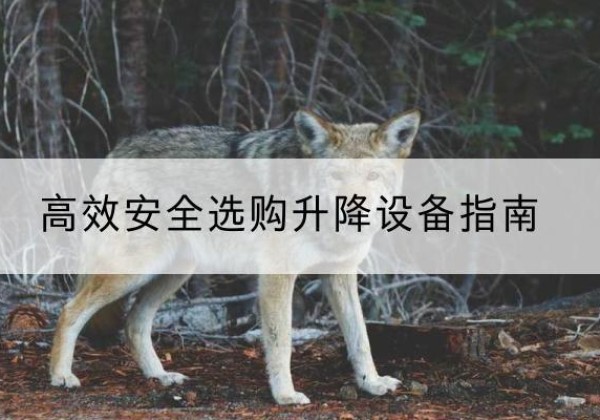 澄迈升降货梯厂家推荐-*安全选购升降设备指南