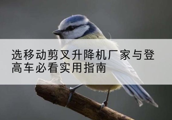 澄迈电动升降机厂家-选移动剪叉升降机厂家与登高车必看实用指南