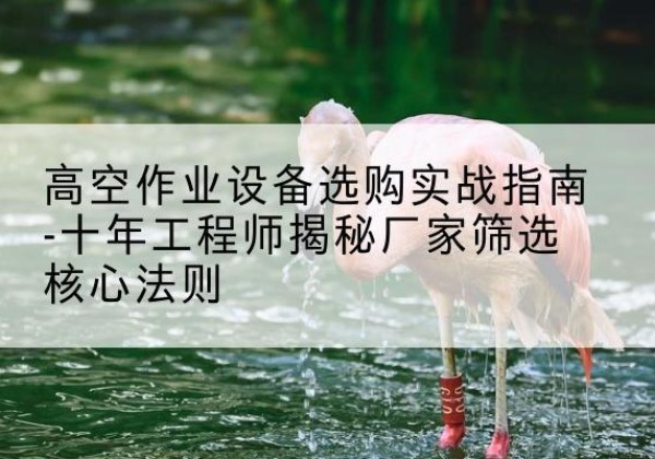 澄迈剪叉式升降机厂家-高空作业设备选购实战指南-十年工程师揭秘厂家筛选核心法则